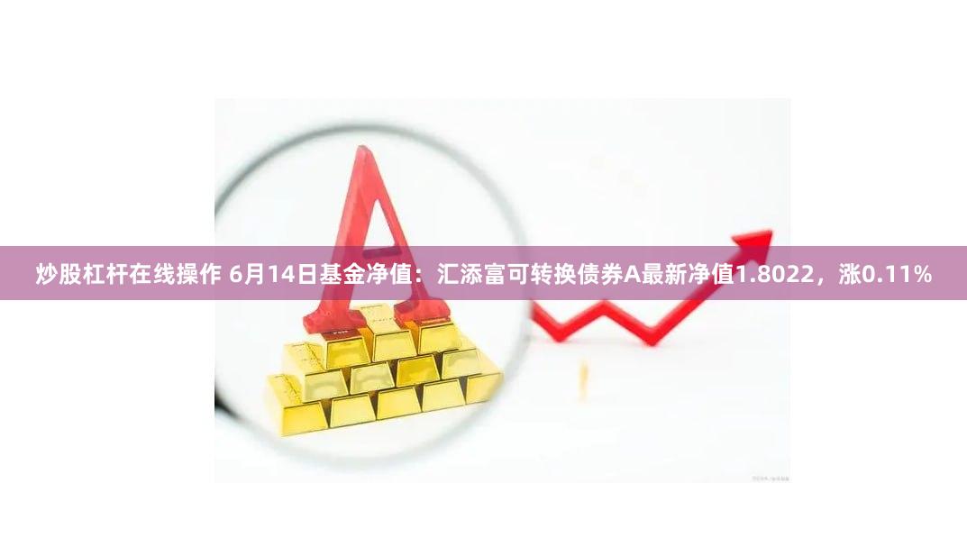 炒股杠杆在线操作 6月14日基金净值：汇添富可转换债券A最新净值1.8022，涨0.11%