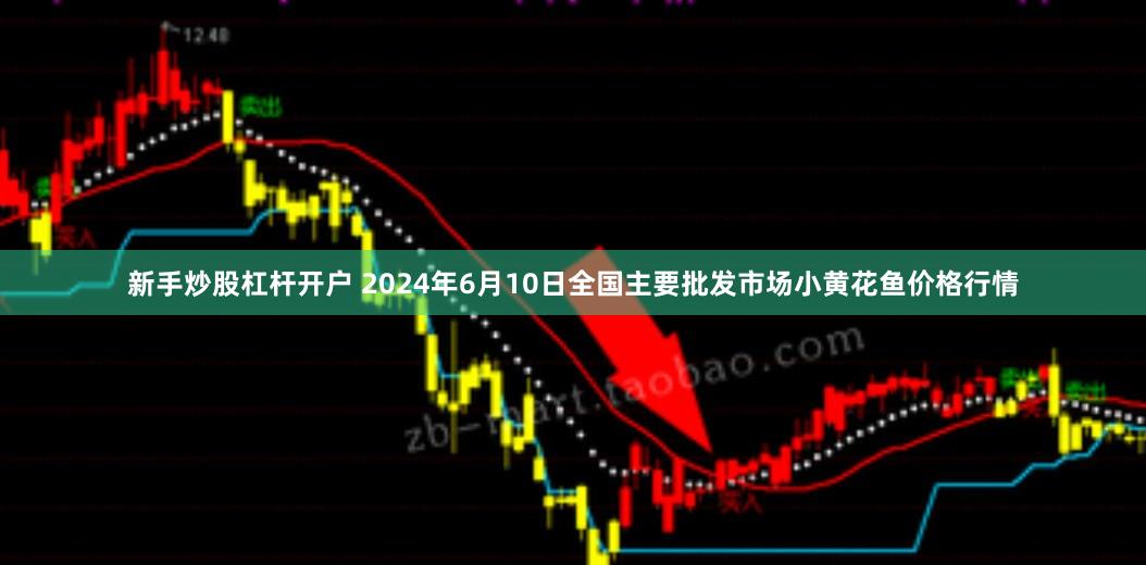 新手炒股杠杆开户 2024年6月10日全国主要批发市场小黄花鱼价格行情