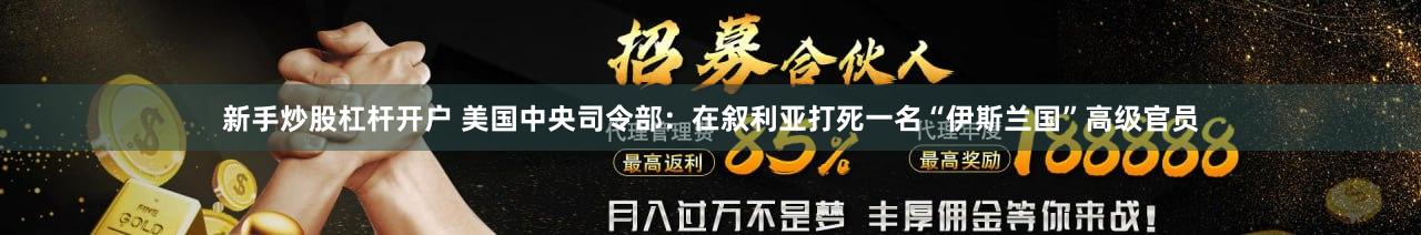 新手炒股杠杆开户 美国中央司令部：在叙利亚打死一名“伊斯兰国”高级官员