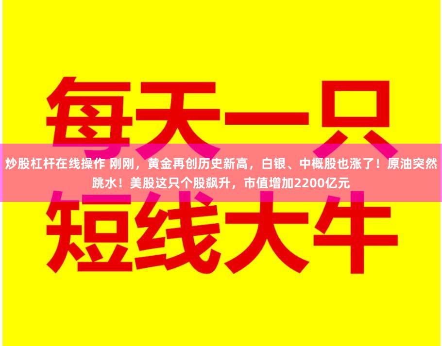 炒股杠杆在线操作 刚刚，黄金再创历史新高，白银、中概股也涨了！原油突然跳水！美股这只个股飙升，市值增加2200亿元